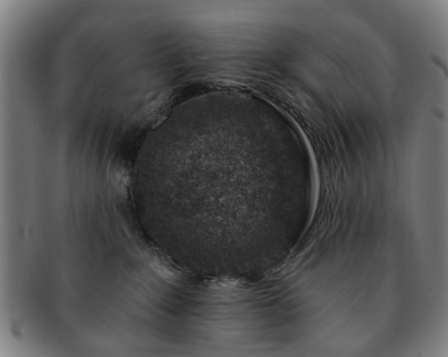 X0000091700235200708311100