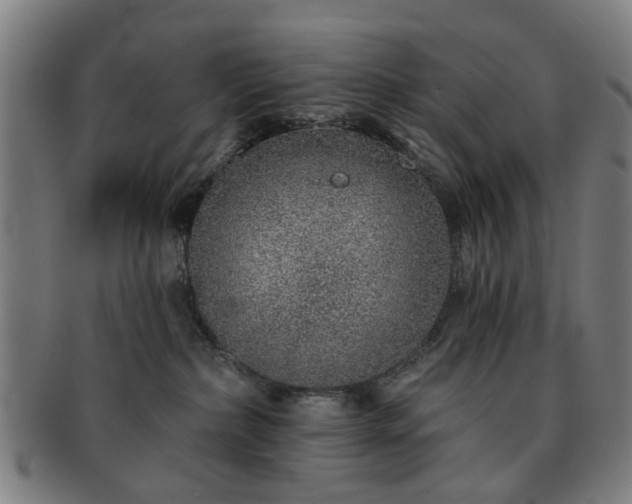 X0000091700236200708311100