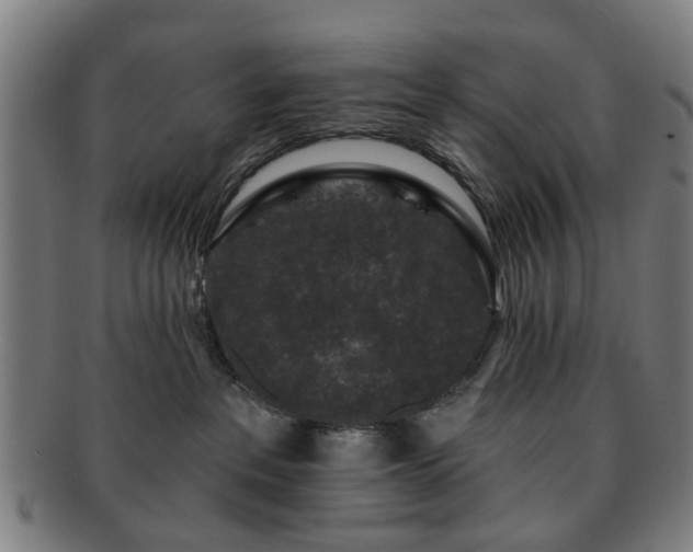 X0000091700237200708311100
