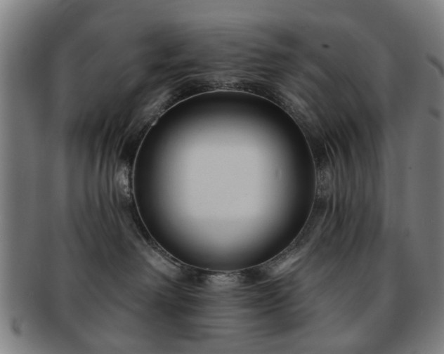 X0000091700238200708311100