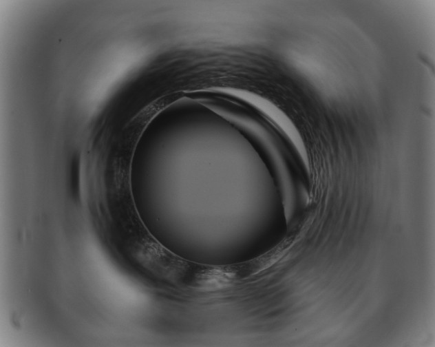 X0000091700239200708311100