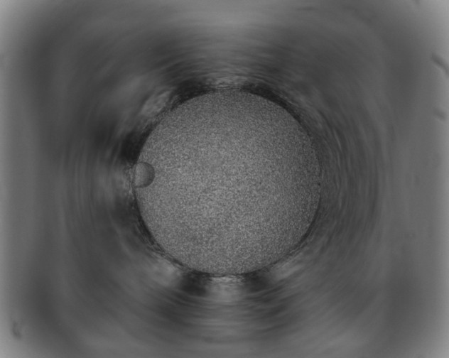 X0000091700240200708311100