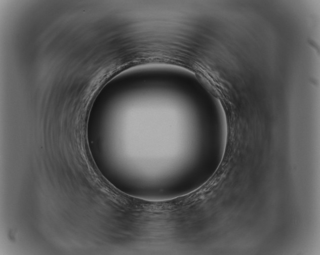 X0000091700241200708311059