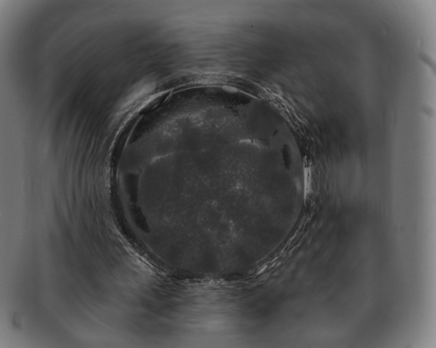 X0000091700243200708311059