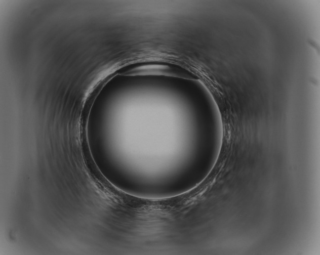X0000091700244200708311059