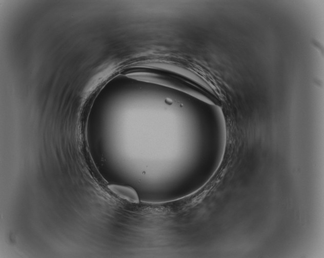X0000091700245200708311059