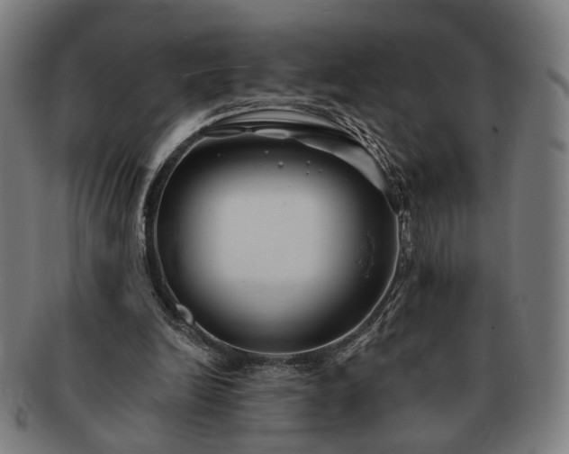 X0000091700246200708311059