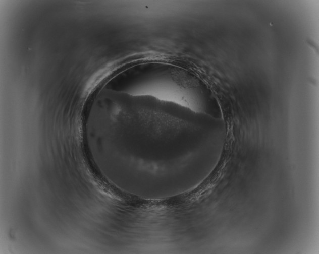 X0000091700247200708311059