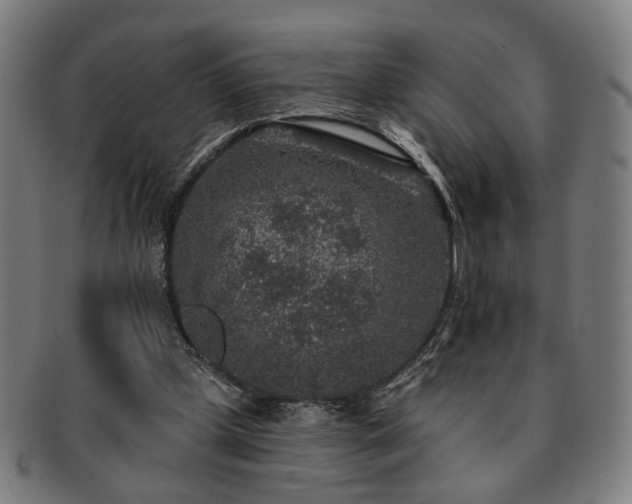 X0000091700249200708311059