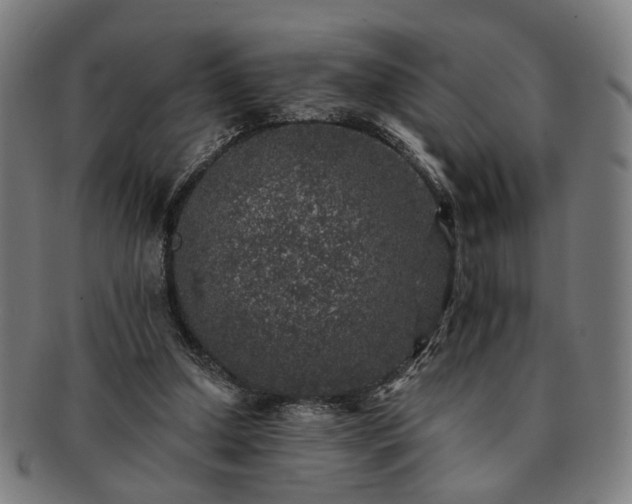 X0000091700250200708311059