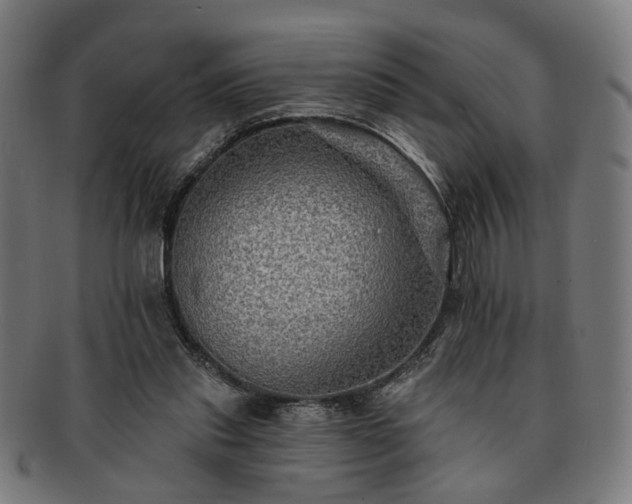 X0000091700253200708311059