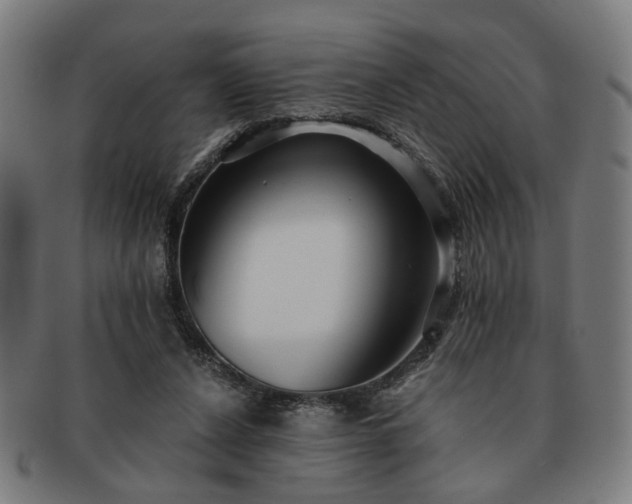 X0000091700256200708311059