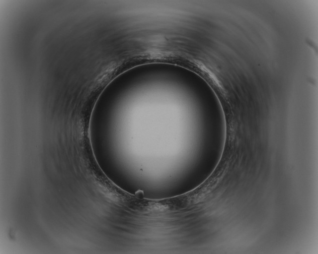 X0000091700257200708311100