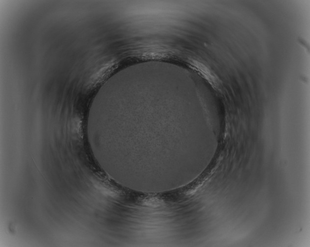 X0000091700258200708311100
