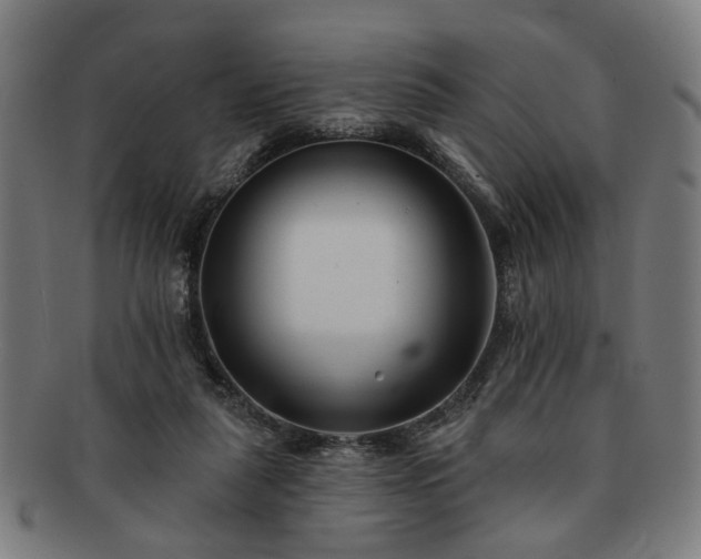 X0000091700259200708311100