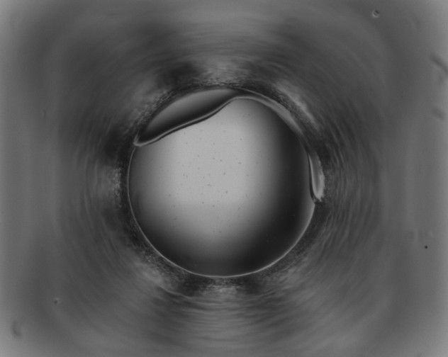 X0000091700260200708311100