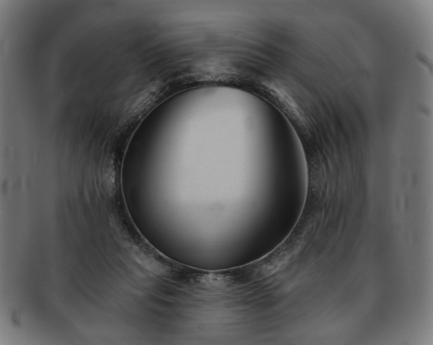 X0000091700261200708311100