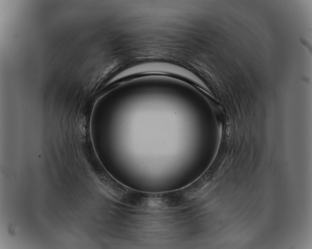 X0000091700264200708311100
