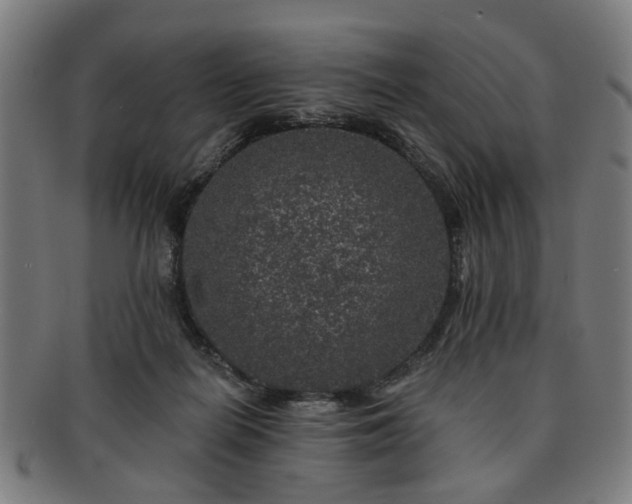 X0000091700266200708311100