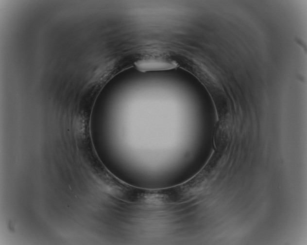 X0000091700268200708311100