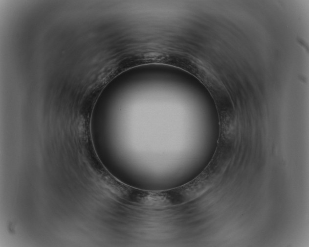 X0000091700270200708311100