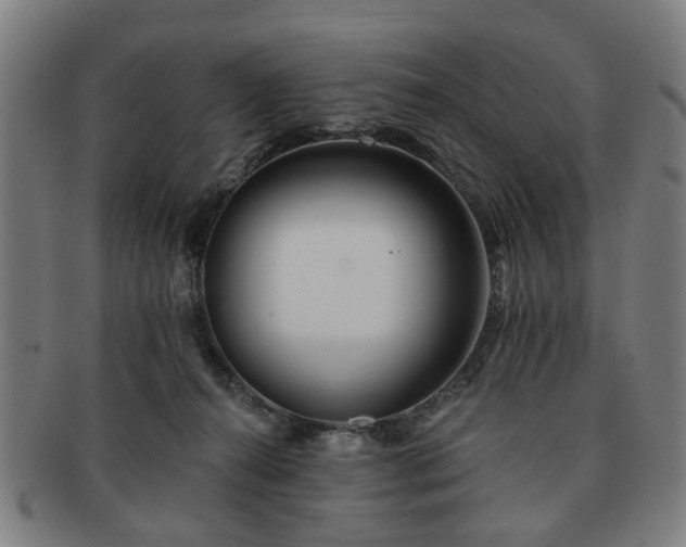 X0000091700272200708311100
