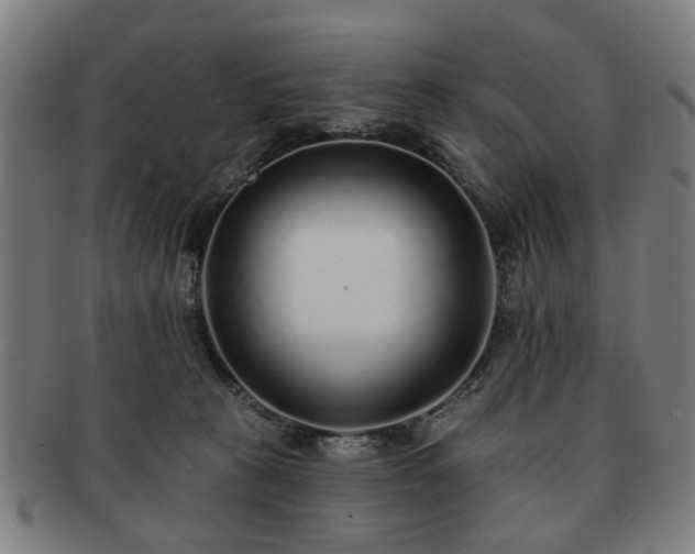 X0000091700273200708311100