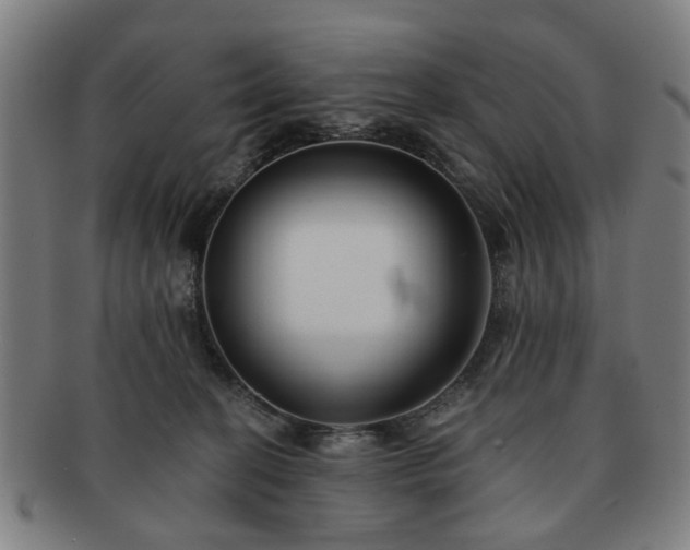 X0000091700274200708311100