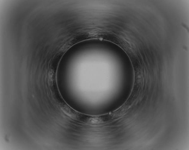 X0000091700275200708311100