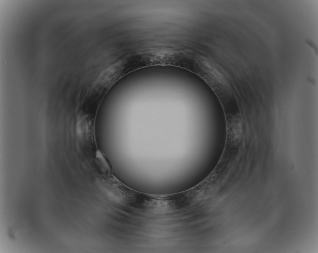 X0000091700276200708311100
