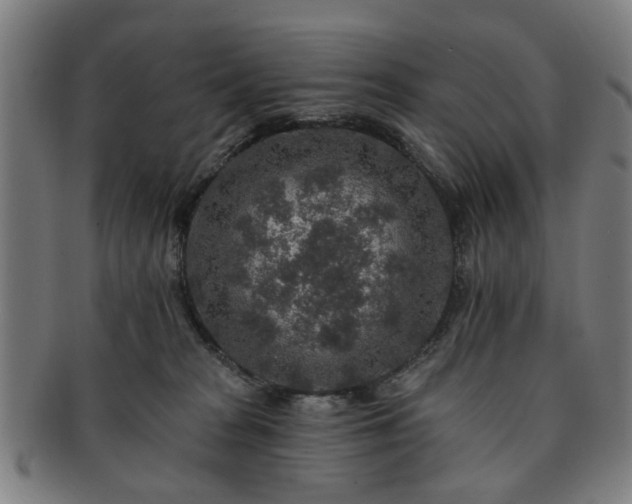 X0000091700277200708311100