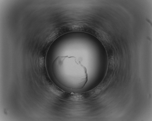 X0000091700278200708311100