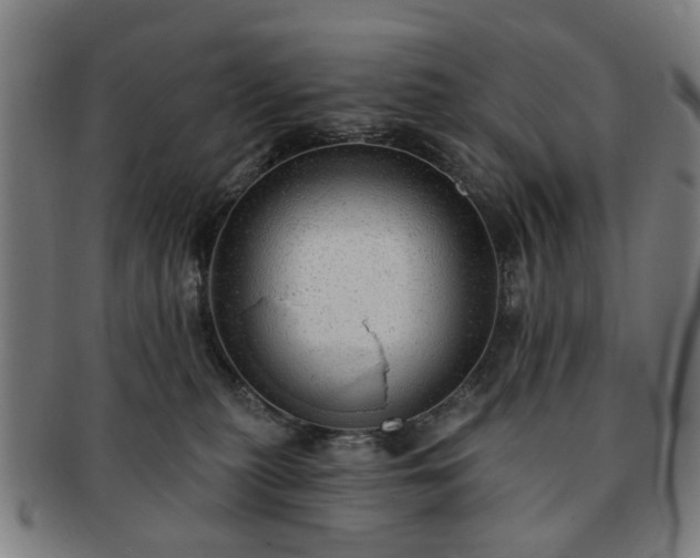 X0000091700279200708311100