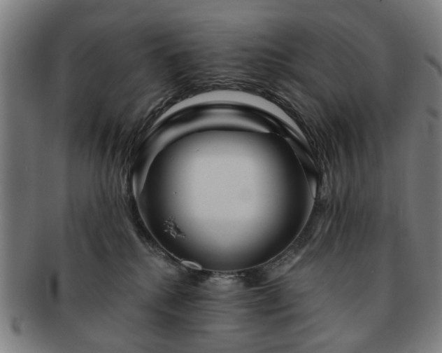 X0000091700280200708311100