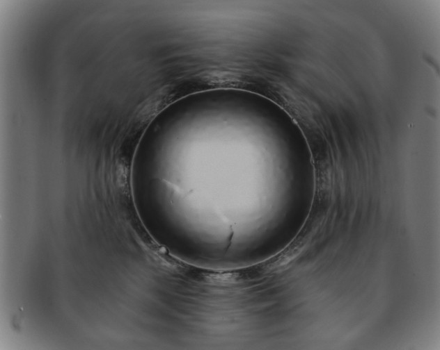 X0000091700281200708311100