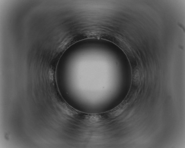 X0000091700282200708311100