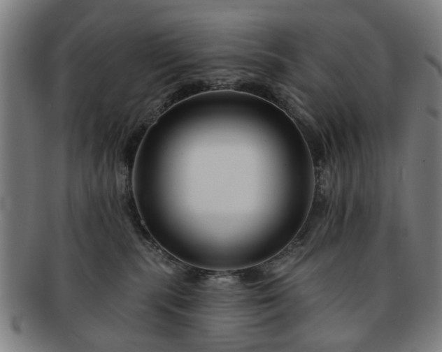 X0000091700283200708311100
