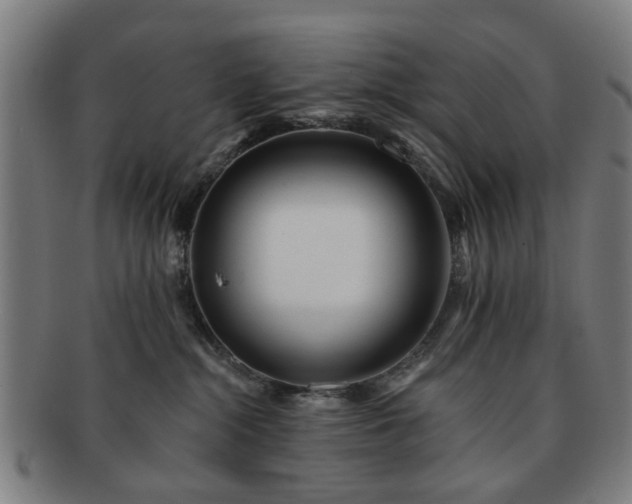 X0000091700284200708311100