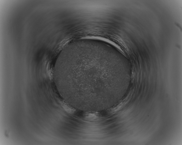 X0000091700285200708311100