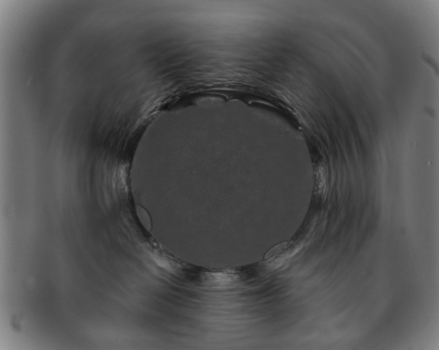 X0000091700286200708311100