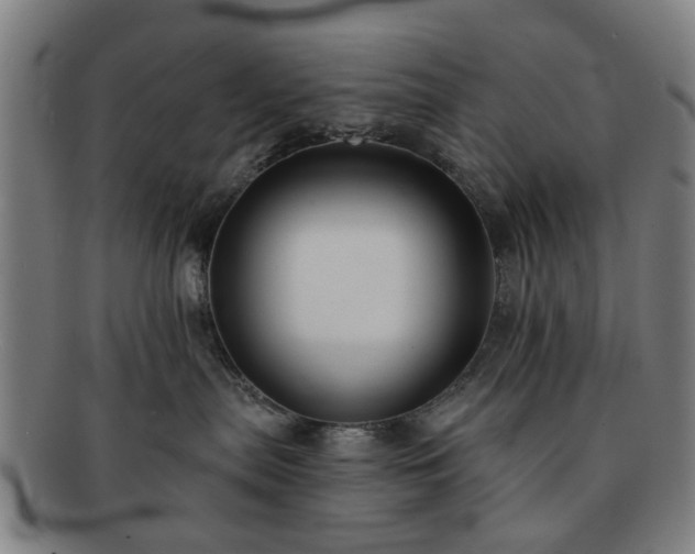 X0000091700287200708311100