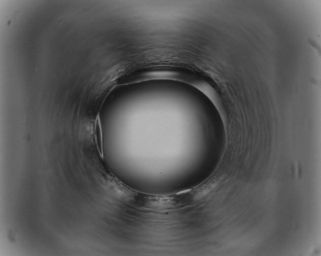 X0000091700288200708311100