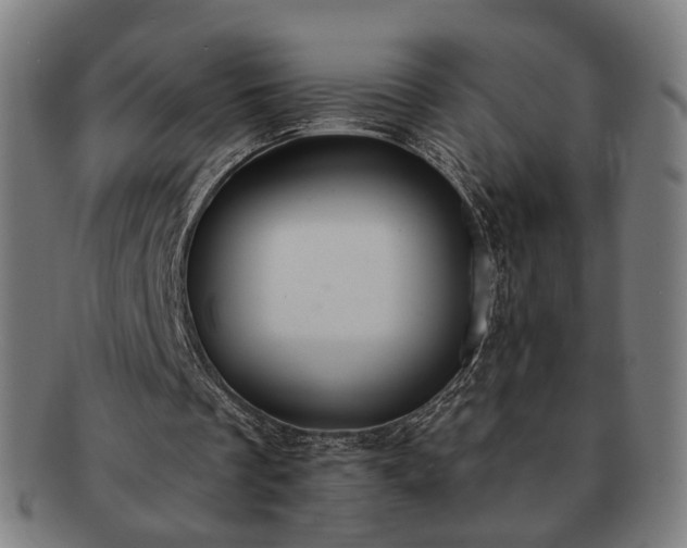 X0000091700289200708311059