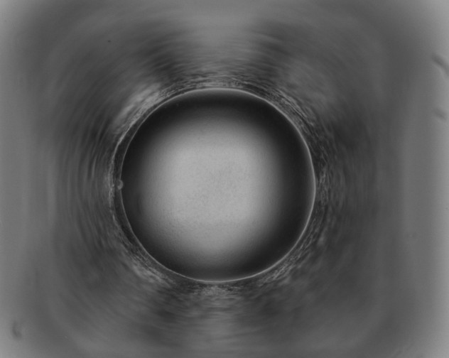 X0000091700290200708311059