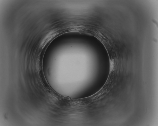 X0000091700291200708311059