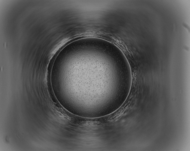 X0000091700292200708311059