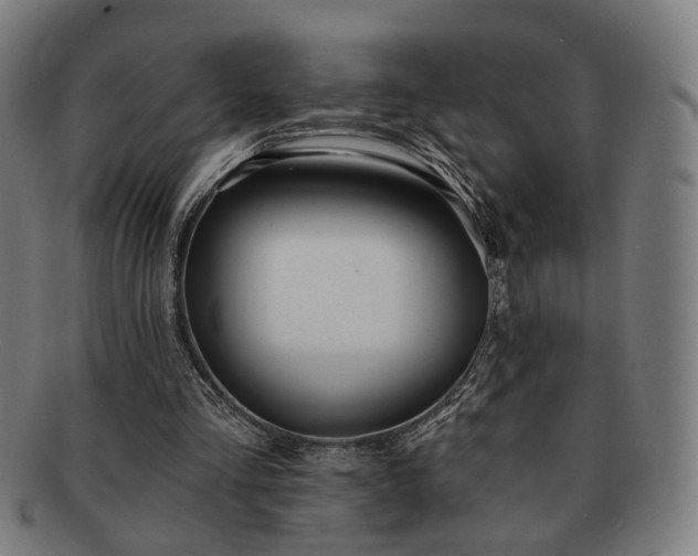 X0000091700293200708311059