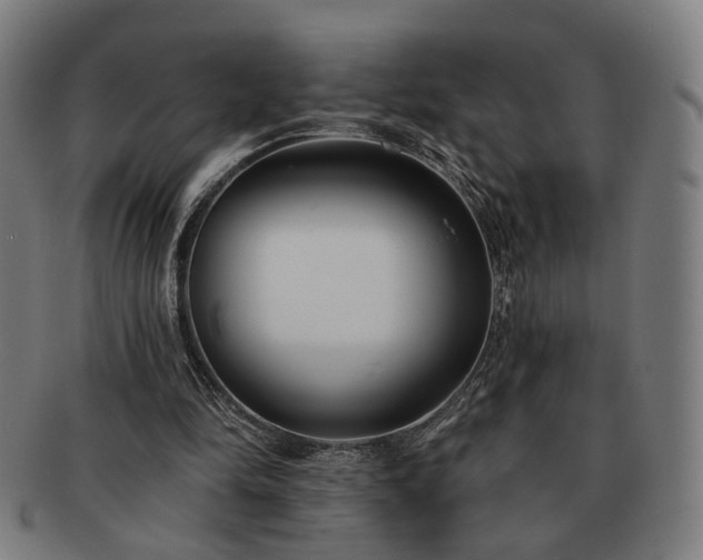 X0000091700294200708311059