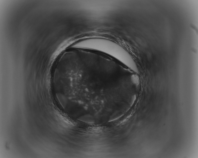X0000091700295200708311059