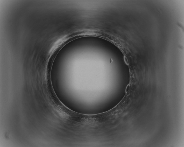 X0000091700296200708311059
